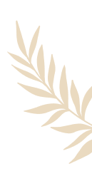 vector