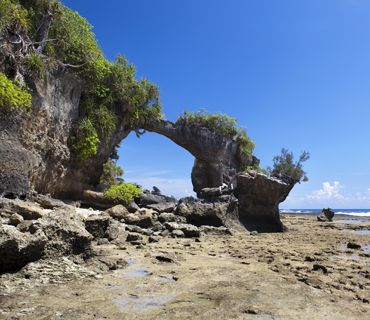 Andaman Tour