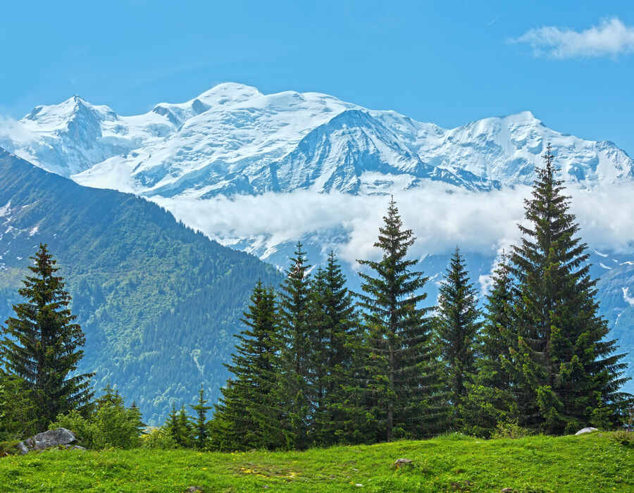 Kashmir Tour Packages