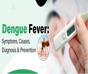 Dengue Malaria