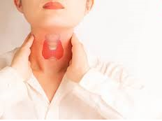 Thyroid